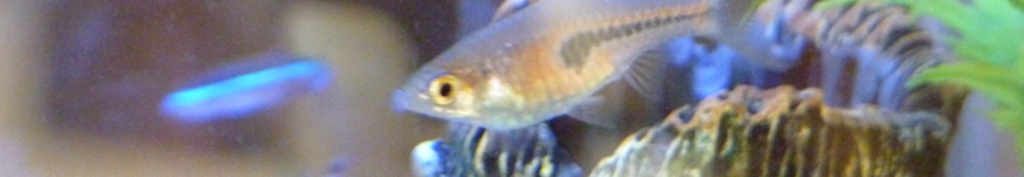 テレビ 人気商品情報！