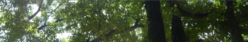 TOD'S トッズ、かなり気になります。